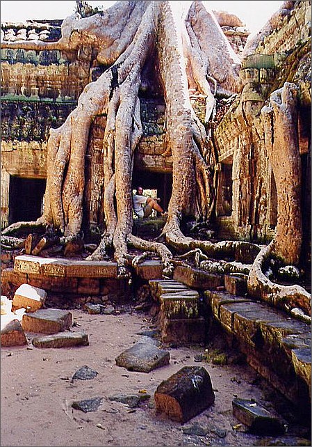 Ta Prohm Temple, Angkor, Cambodia.