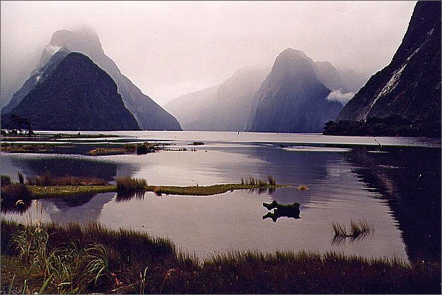 Milford Sound, New Zealand.